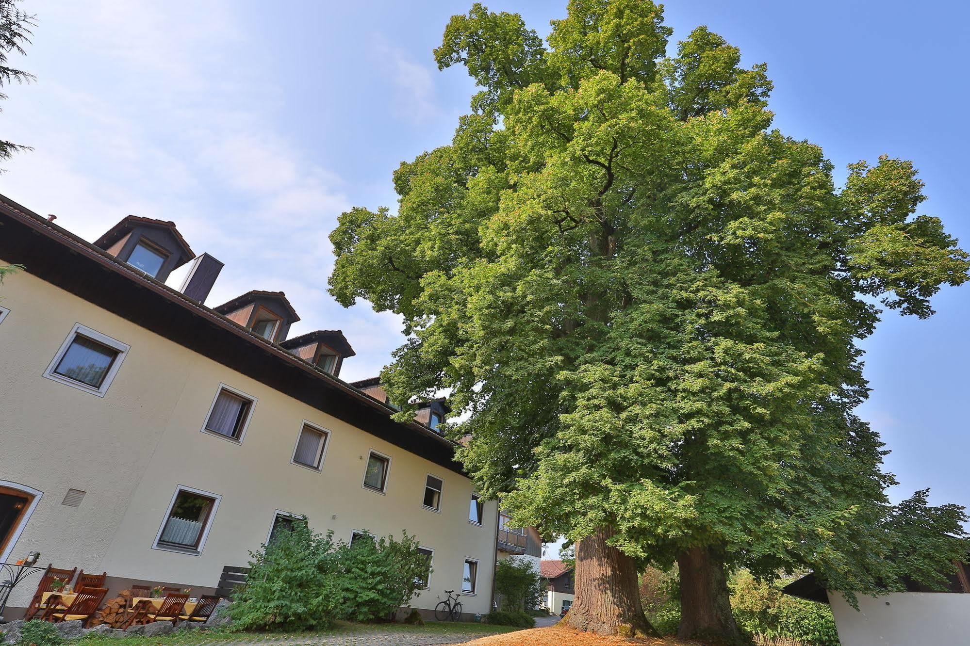 Hotel Bockmaier Oberpframmern المظهر الخارجي الصورة